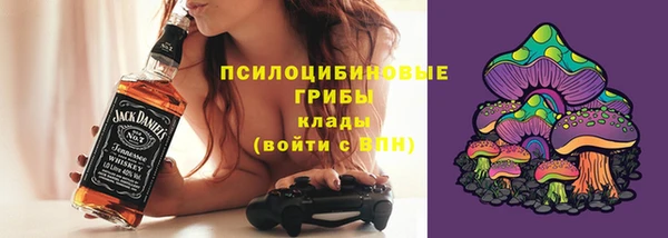PSILOCYBIN Каменногорск