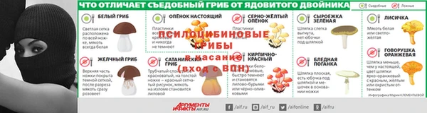 ПСИЛОЦИБИНОВЫЕ ГРИБЫ Инсар