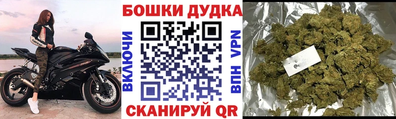 Конопля план  Бабаево 